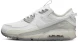 Кросівки Чоловічі Nike Air Max Terrascape 90 (DQ3987-101), EUR 44