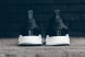 Кроссовки Adidas NMD R1 Primeknit Monochrome "Black/White", EUR 40