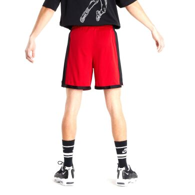 Мужские шорты Nike Mj Df Sprt Mesh Short (DH9077-687), M