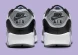 Мужские кроссовки Nike Air Max 90 "Lavender" (DM0029-014), EUR 40,5