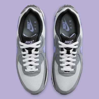 Мужские кроссовки Nike Air Max 90 "Lavender" (DM0029-014), EUR 45