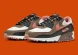Чоловічі кросівки Nike Air Max 90 "Brown/Terracotta" (DM0029-105), EUR 42