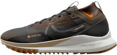 Чоловіі кросівки Nike React Pegasus Trail 4 GORE-TEX M (FD5841-001)