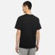 Чоловіча футболка Nike M Nk Sb Tee Essentials (DB9975-010), XL