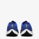 Чоловічі кросівки Nike Air Zoom Rival Fly 3 (CT2405-400), EUR 44,5