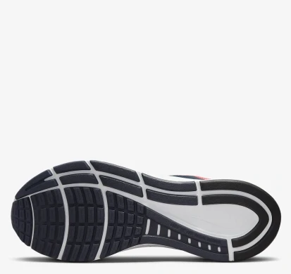 Чоловічі кросівки Nike Air Zoom Structure 24 (DA8535-403), EUR 41