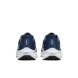 Мужские кроссовки Nike Pegasus 40 (DV3853-400), EUR 46