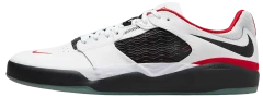 Чоловічі кросівки Nike SB Ishod Wair Premium (DZ5648-100)