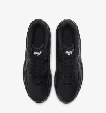 Подростковые кроссовки Nike Air Max 90 Ltr (gs) (CD6864-001)