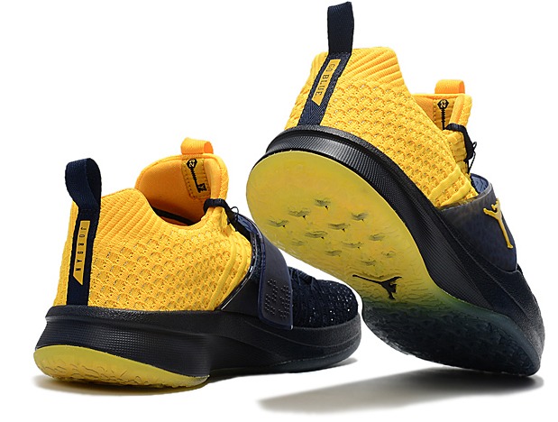 Jordan trainer 2 hot sale flyknit michigan