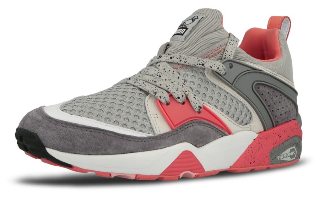 Puma blaze 2025 of glory pigeon