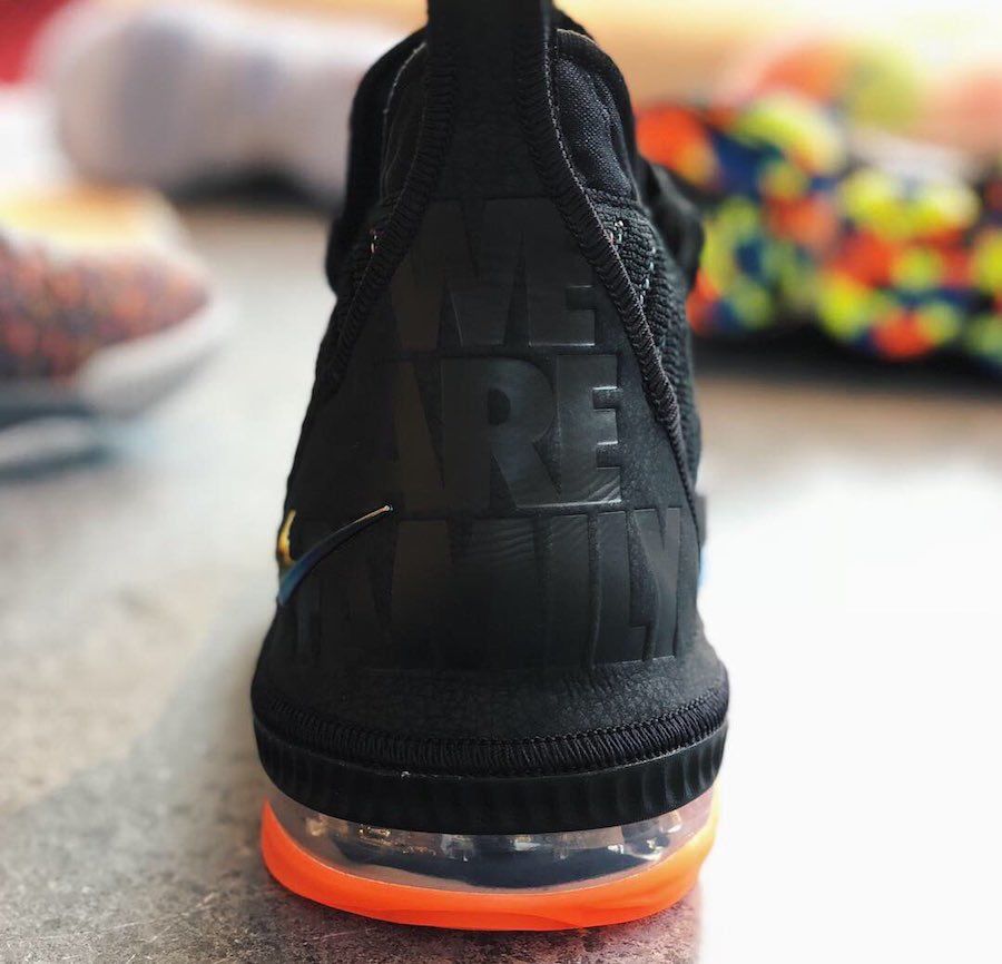 lebron 16 we are family