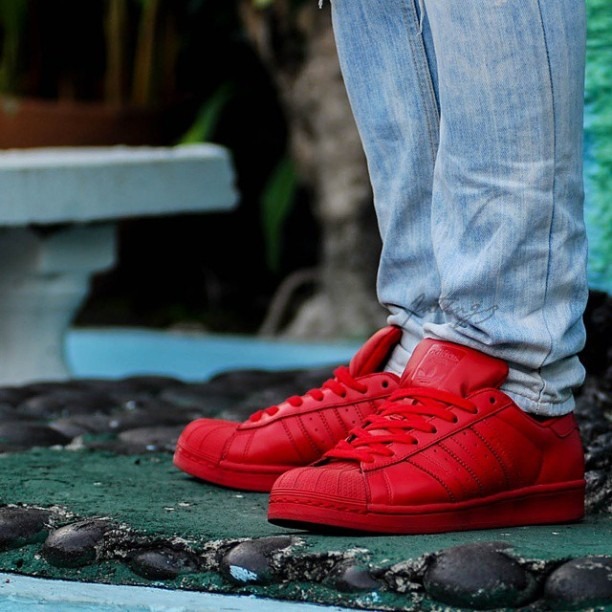 Adidas superstar best sale supercolor red