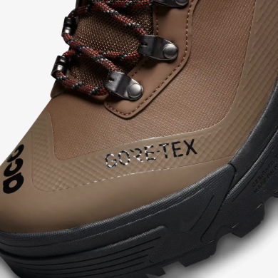 Ботинки Nike ACG Air Zoom Gaiadome Gore-Tex (DD2858-200)