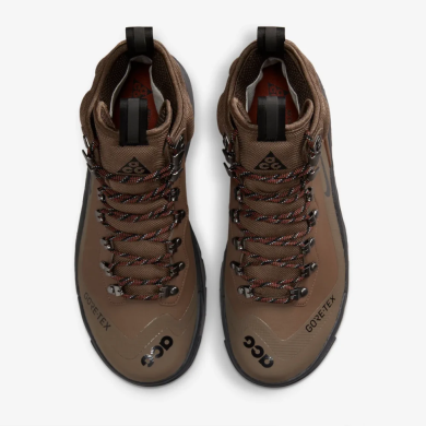 Ботинки Nike ACG Air Zoom Gaiadome Gore-Tex (DD2858-200)