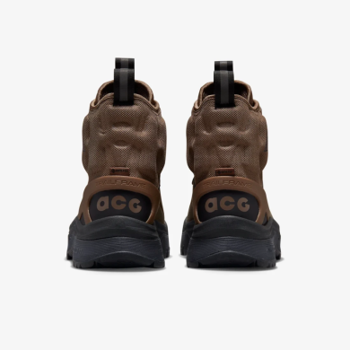 Ботинки Nike ACG Air Zoom Gaiadome Gore-Tex (DD2858-200)