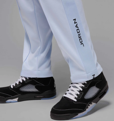 Штаны мужские Air Jordan Essentials (HF9341-407), S