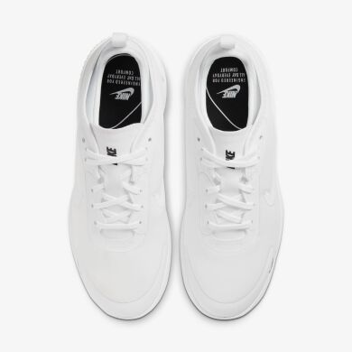 Жіночі кросівки Wmns Nike Amixa (CD5403-100)
