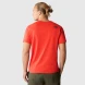 Футболка The North Face M S/s Easy Tee (NF0A2TX315Q1), L