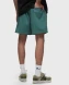 Шорти чоловічі Nike ACG Hiking (FN2430-338), S