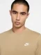 Футболка Nike M Nsw Club Tee (AR4997-297), XXL