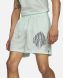 Мужские баскетбольные шорты KD (CV2393-394), M