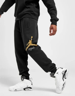 Мужские Брюки Nike M Jordan Ess Flc Baseline Pant (FD7345-011), S