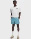 Шорты мужские Nike ACG Reservoir Goat (FN2472-464), S