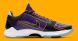 Баскетбольні кросівки Nike Zoom Kobe 5 Protro "5x Champ", EUR 46