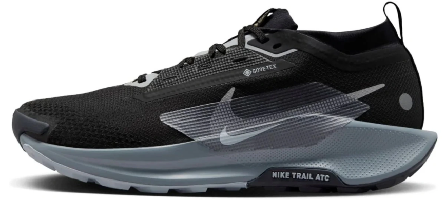 Кроссовки мужские Nike Pegasus Trail 5 Gore-Tex (FQ0908-001)