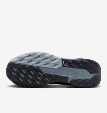 Кроссовки мужские Nike Pegasus Trail 5 Gore-Tex (FQ0908-001)