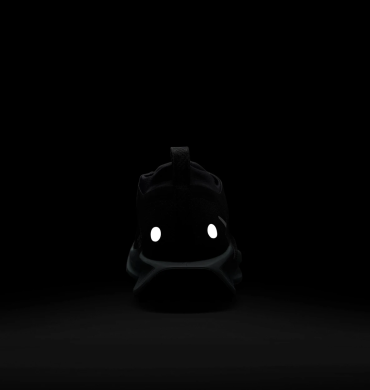 Кроссовки мужские Nike Pegasus Trail 5 Gore-Tex (FQ0908-001)