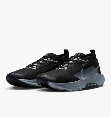 Кроссовки мужские Nike Pegasus Trail 5 Gore-Tex (FQ0908-001)