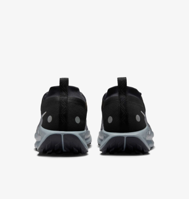 Кроссовки мужские Nike Pegasus Trail 5 Gore-Tex (FQ0908-001)