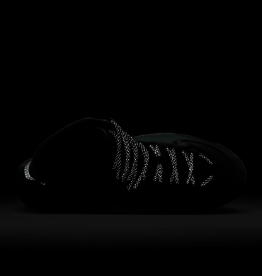 Жіночі черевики Nike City Classic Premium Waterproof (FZ8629-001), EUR 40