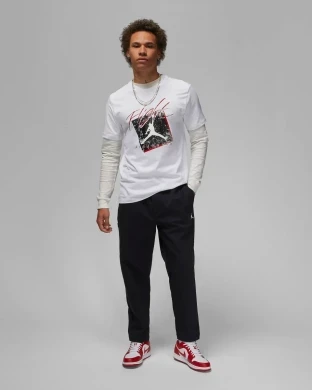 Футболка Jordan Brand Gfx Men's T-shirt (DX9593-100), XL