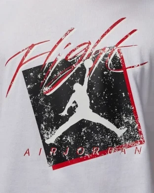 Футболка Jordan Brand Gfx Men's T-shirt (DX9593-100), XL
