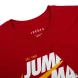 Футболка Мужская Jordan Jumpman (DM3219-687), M
