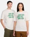 Футболка Чоловіча Nike SB Tee Oc Repeat Brd (FV3494-133), S