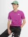 Футболка The North Face M S/s Redbox Tee NF0A2TX2LV11, M