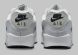 Чоловічі кросівки Nike Air Max 90 GTX (DJ9779-003)