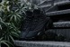 Баскетбольные кроссовки Air Jordan 13 Retro "Black Cat", EUR 42,5