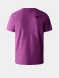 Футболка The North Face S/S Raglan Redbox Tee NF0A3BQOLV11, L