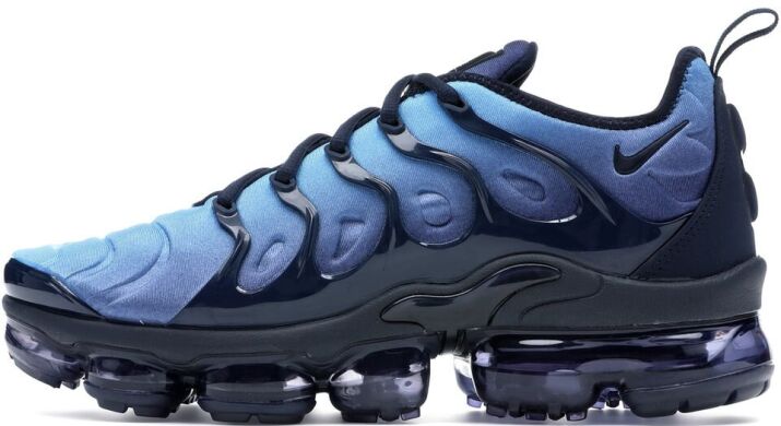 Чоловічі кросівки Nike Air Vapormax Plus (924453-401), EUR 40,5