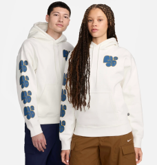 Худи Nike SB Fleece Skate Pullover (FN2579-222)