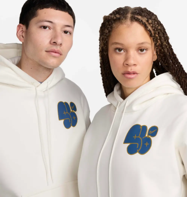 Худи Nike SB Fleece Skate Pullover (FN2579-222)