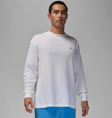 Лонгслив мужской Air Jordan Essentials (FV7456-100), M