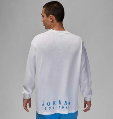 Лонгслив мужской Air Jordan Essentials (FV7456-100), M