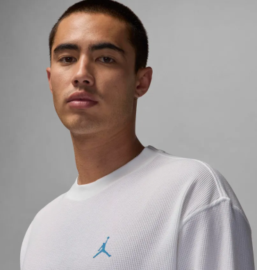 Лонгслив мужской Air Jordan Essentials (FV7456-100), M