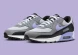 Мужские кроссовки Nike Air Max 90 "Lavender" (DM0029-014)